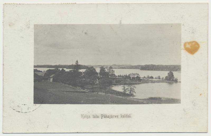 fotopostkaart, Pühajärv, Kolga talu, u 1910