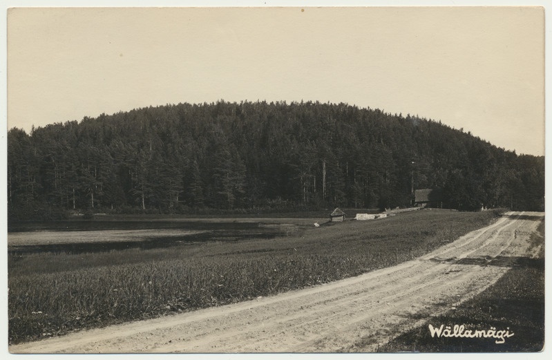 fotopostkaart, Võrumaa, Vällamägi, u 1930
