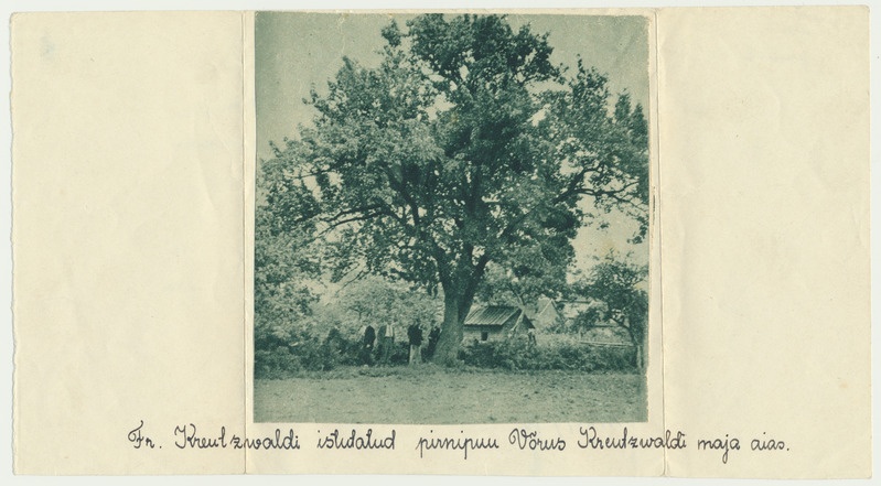 trükipilt, Võru, F. R. Kreutzwaldi maja, aed