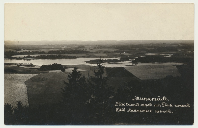 fotopostkaart, Võrumaa, vaade Suurelt Munamäelt, u 1930