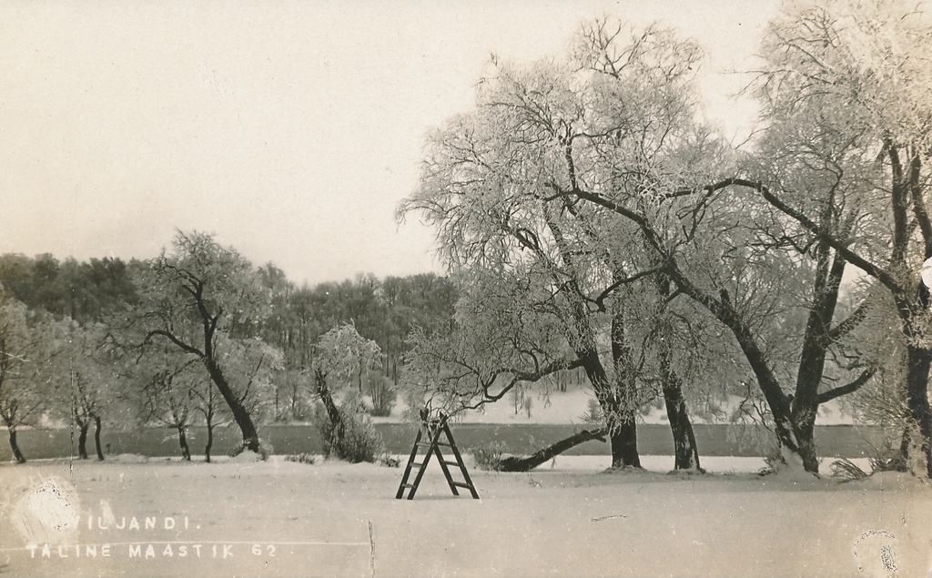 foto, Viljandi, järv, u 1910, foto J. Riet