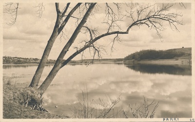 foto, Viljandi, järv, linn, u 1935, foto T. Parri  duplicate photo