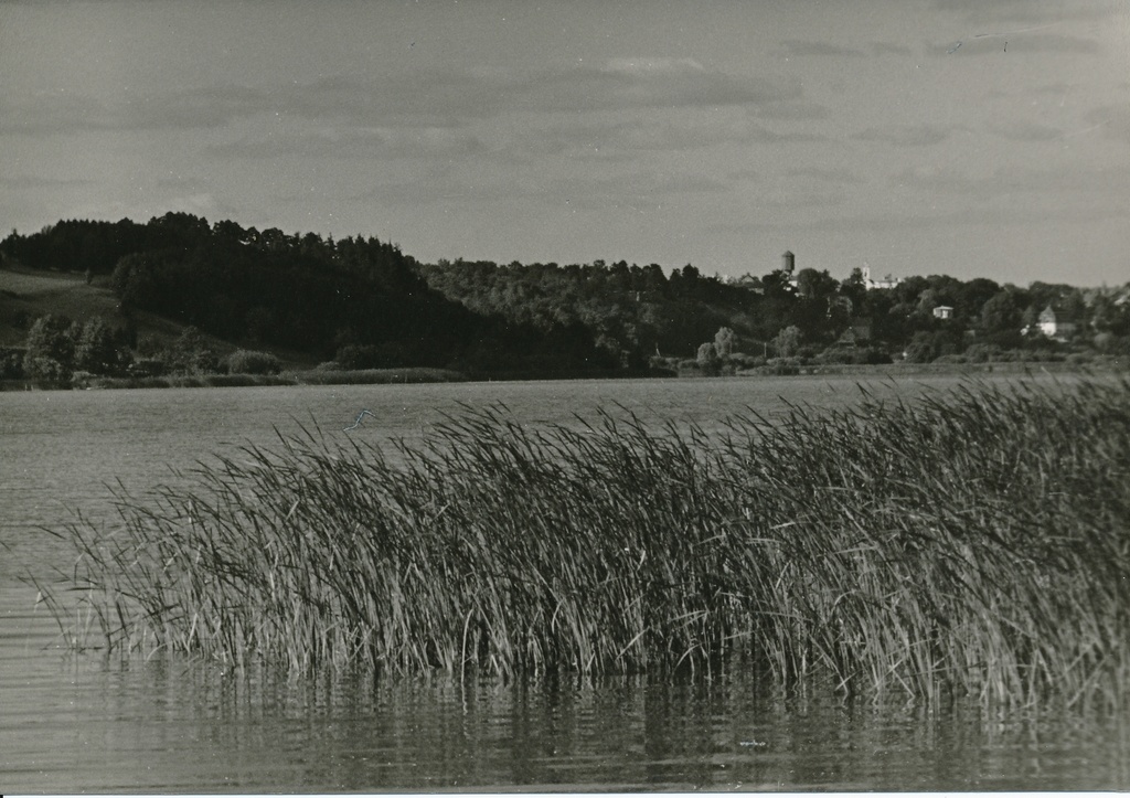 foto, Viljandi, järv, linn, 1960, foto A. Kiisla