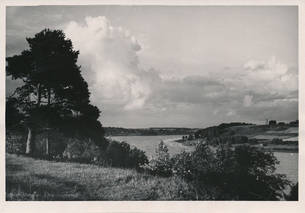 foto, Viljandi, järv, u 1960, foto A. Kiisla