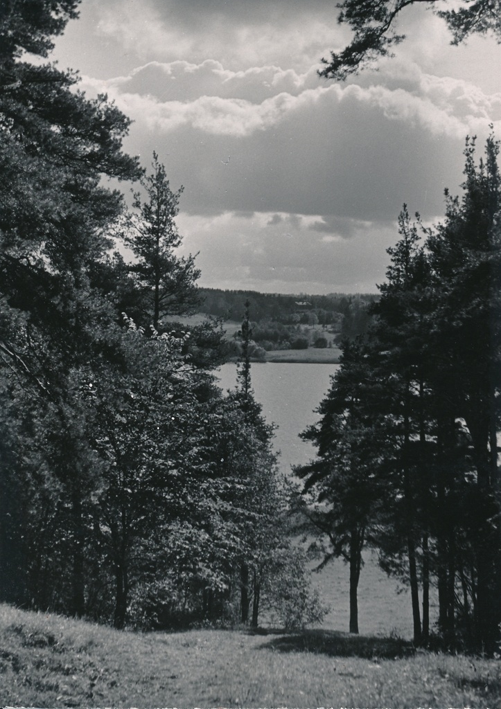 foto, Viljandi, järv, Männimäe, u 1960, foto A. Kiisla