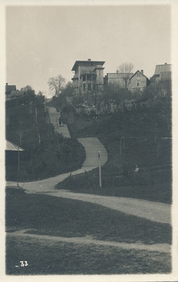 foto, Viljandi, Trepimägi, Sellheimi villa, u 1907-08  duplicate photo