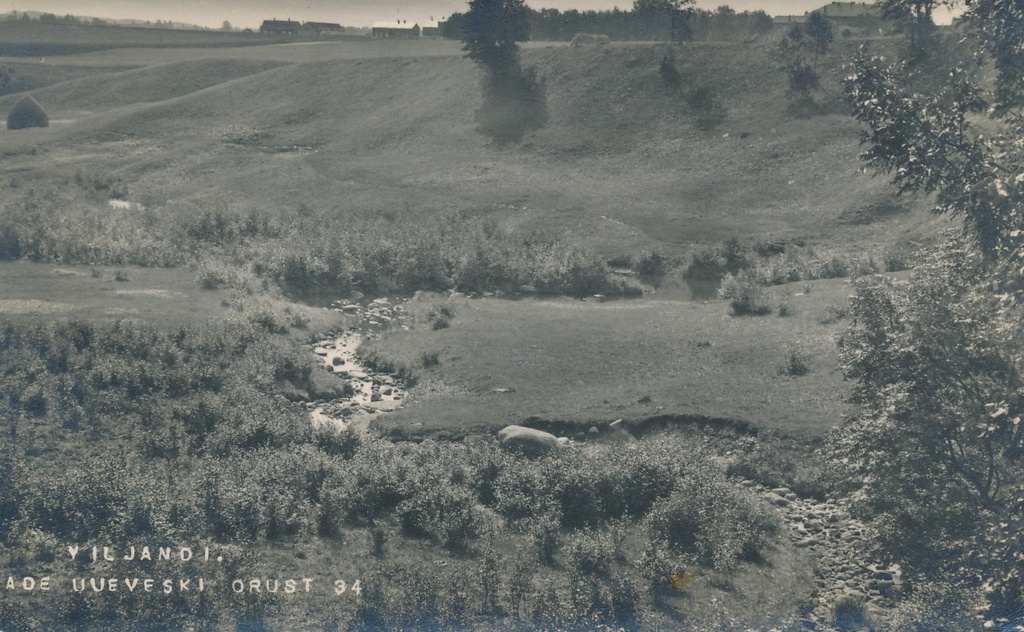 foto, Viljandi, Uueveski org, u 1920