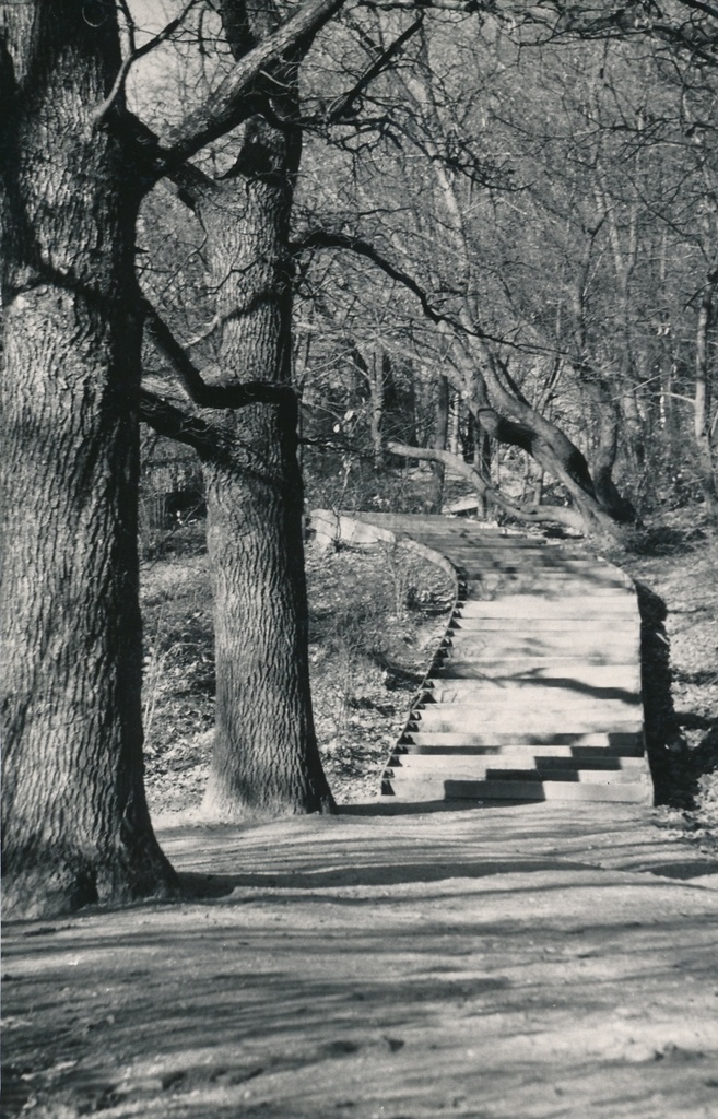 foto, Viljandi, Trepimägi, trepistik, u 1970, foto A. Kiisla?