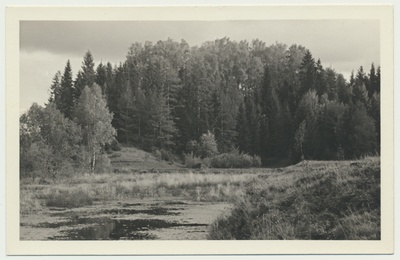 foto, Viljandimaa, Naanu linnamägi, 1959  duplicate photo