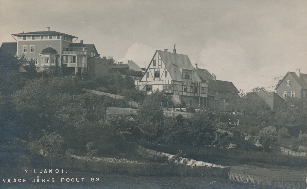 foto, Viljandi, Trepimägi, küljelt, u 1910, foto J. Riet
