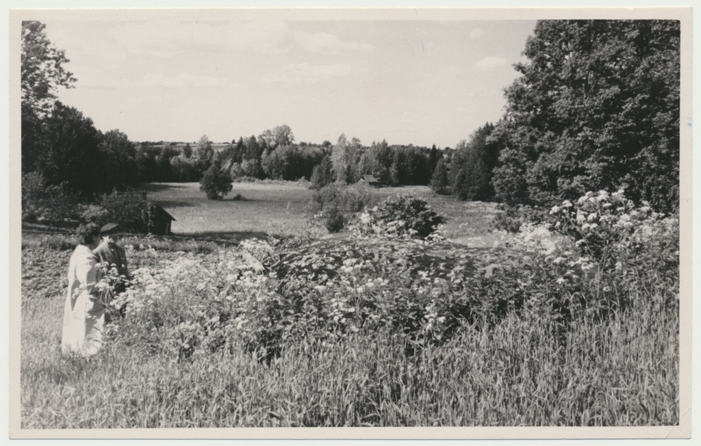 foto, Viljandimaa, Õnniste küla, ohvrikivi, 1960, foto L. Vellema