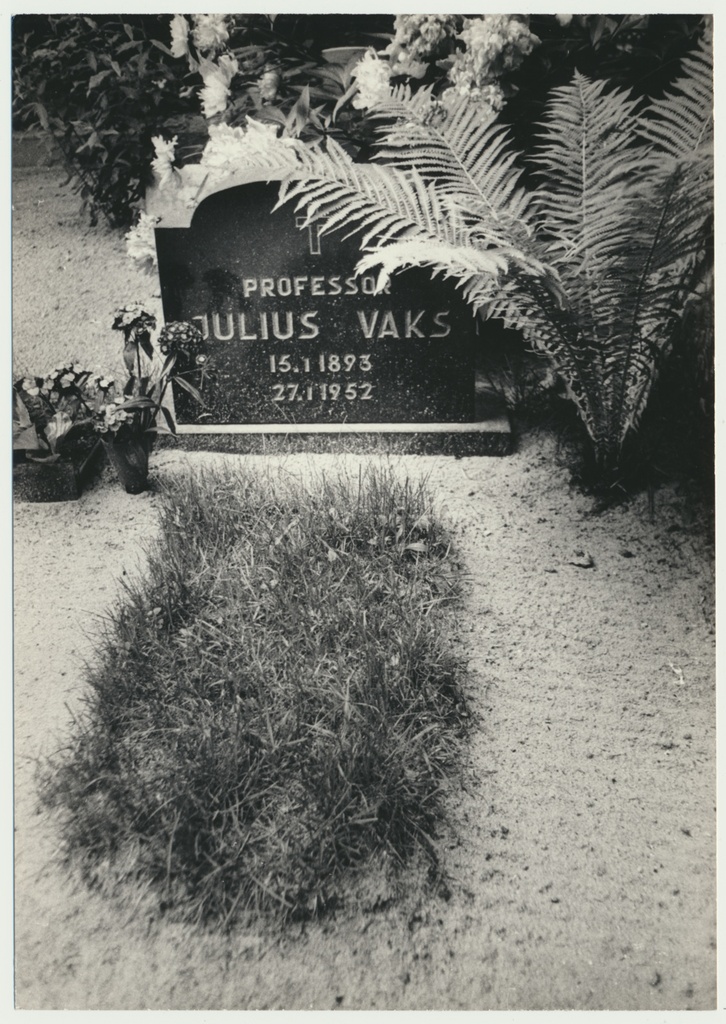 foto, Viljandimaa, Suure-Jaani, Julius Vaksi haud, 1977, foto E. Veliste