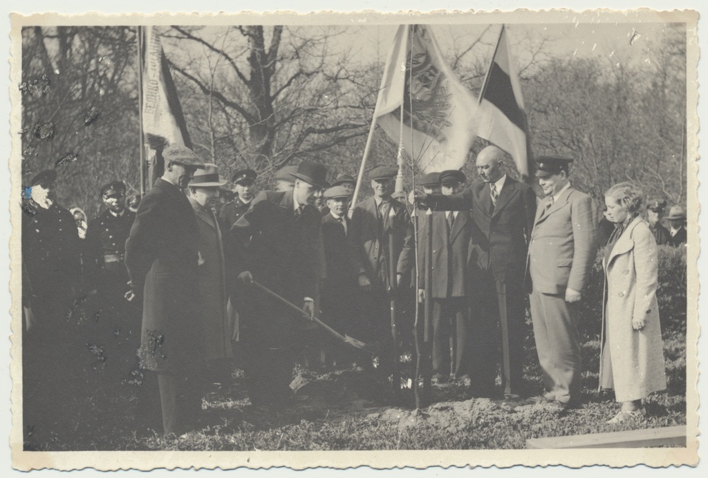 foto, Viljandimaa, Suure-Jaani, tamme istutamine, Suure-Jaani linnapea, 1938, foto H. Kullandi