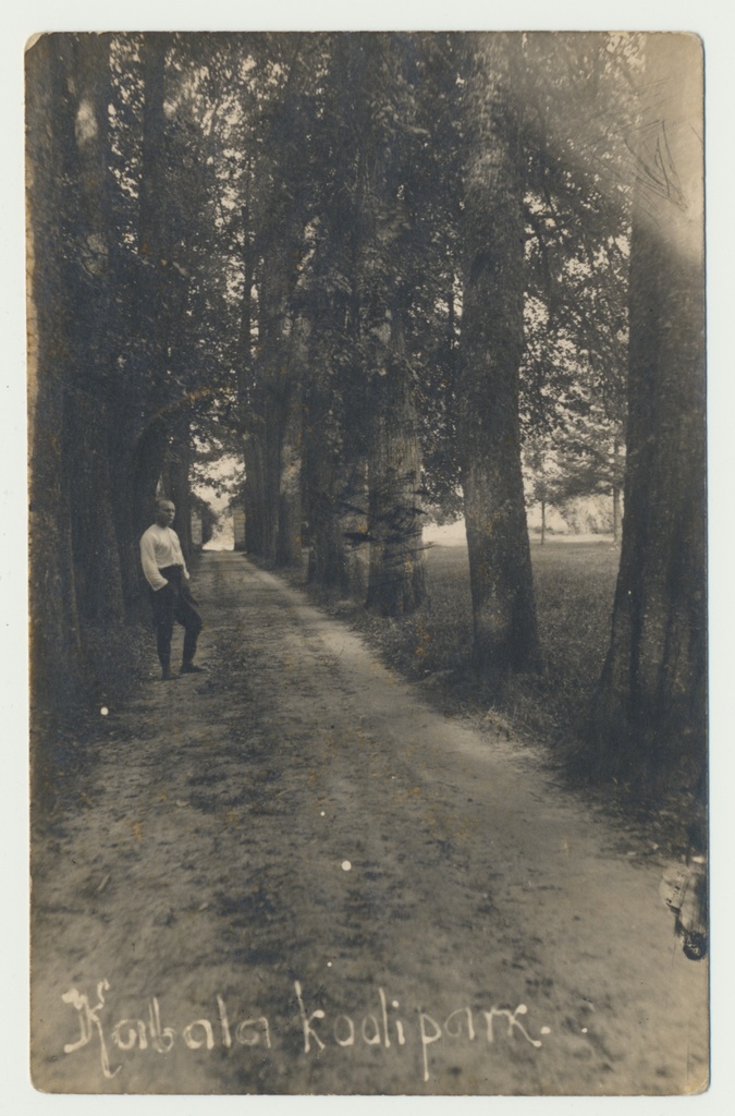 foto, Viljandimaa, Kabala koolipark, u 1920