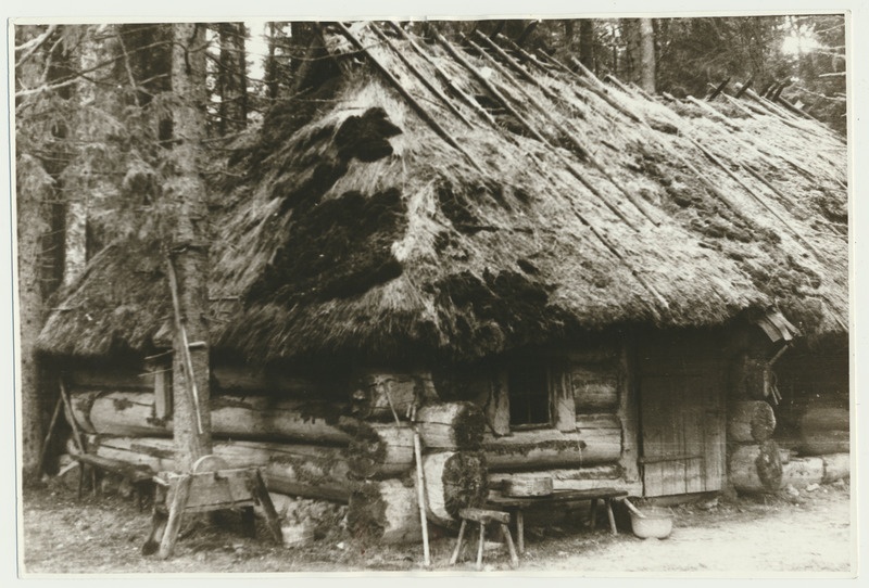 foto, Viljandimaa, Kabala metskond Tõrvaaugu mets, Vanapagana talu, 1964