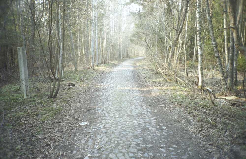 Stone road for shore protection patresses in Suurup