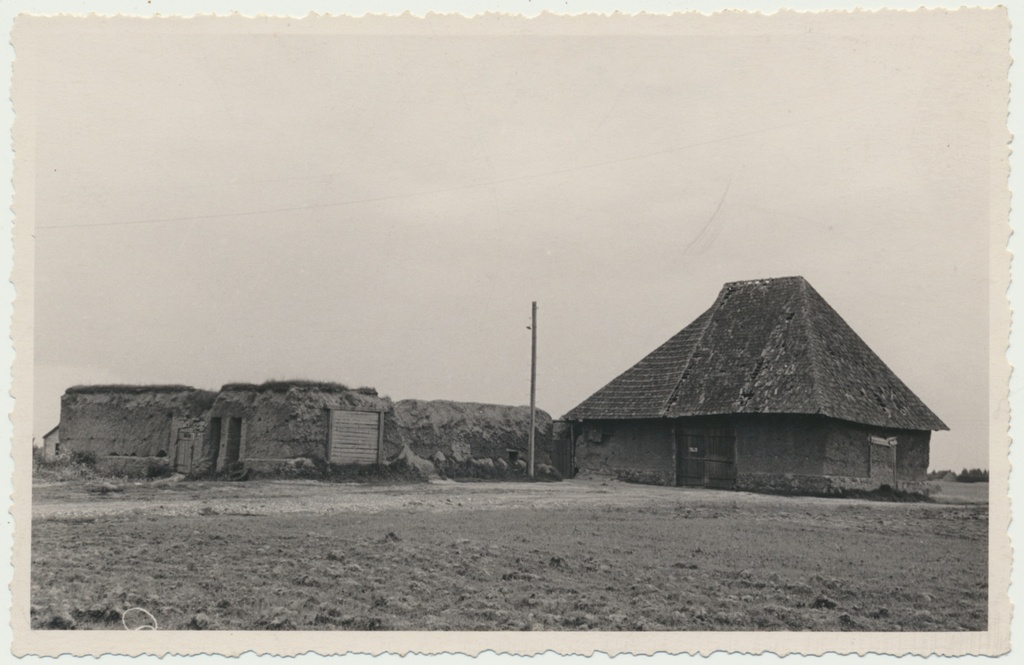 foto, Viljandimaa, Tarvastu mõisa rehi, 1956, foto L. Vellema