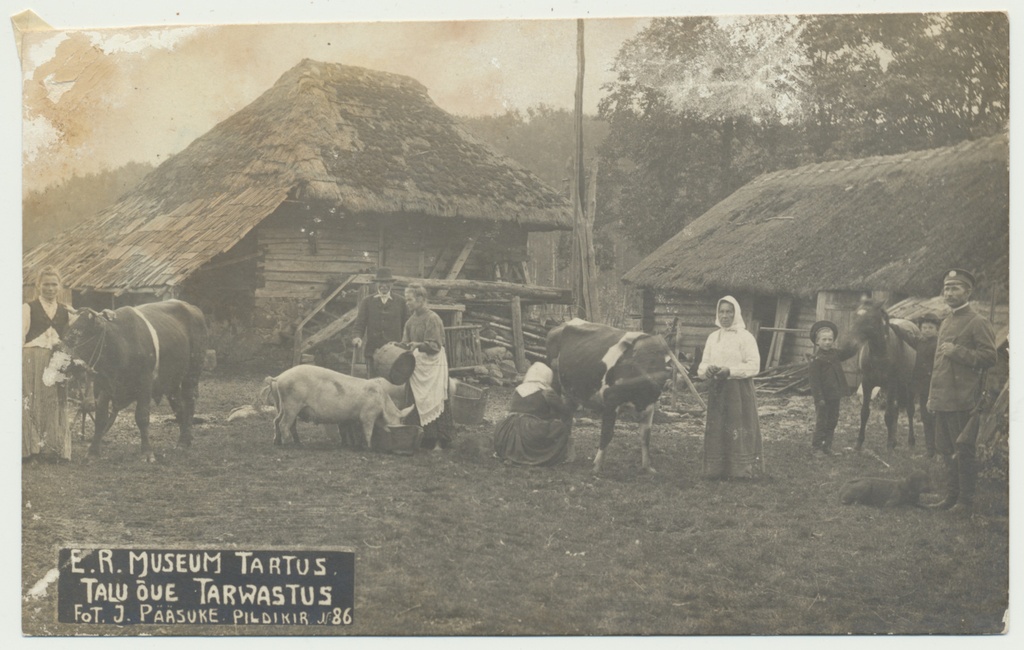 foto, Viljandimaa, Tarvastu, taluõu, 1912, foto J. Pääsuke