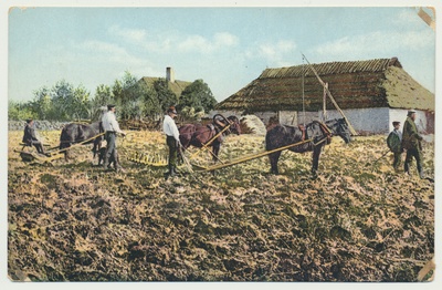 koloreeritud trükipostkaart, põllutööd hobustega, u 1910, kirjastaja von der Ley  duplicate photo