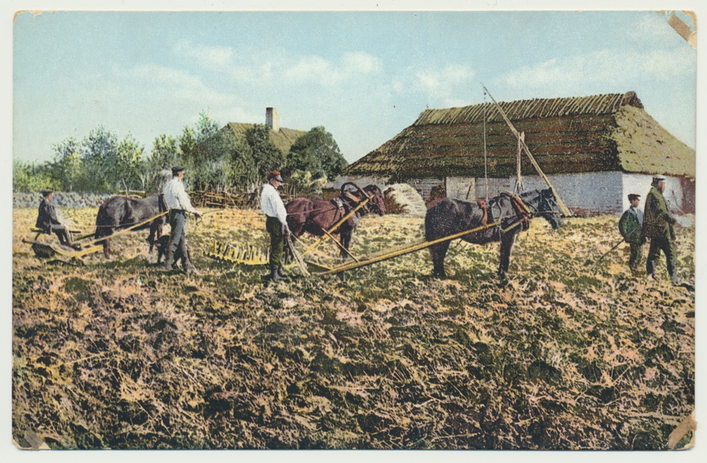 koloreeritud trükipostkaart, põllutööd hobustega, u 1910, kirjastaja von der Ley