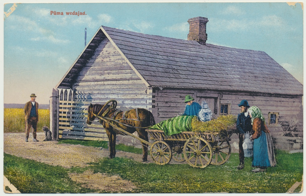 koloreeritud trükipostkaart, piimavedu hobusega taluõuest, u 1910