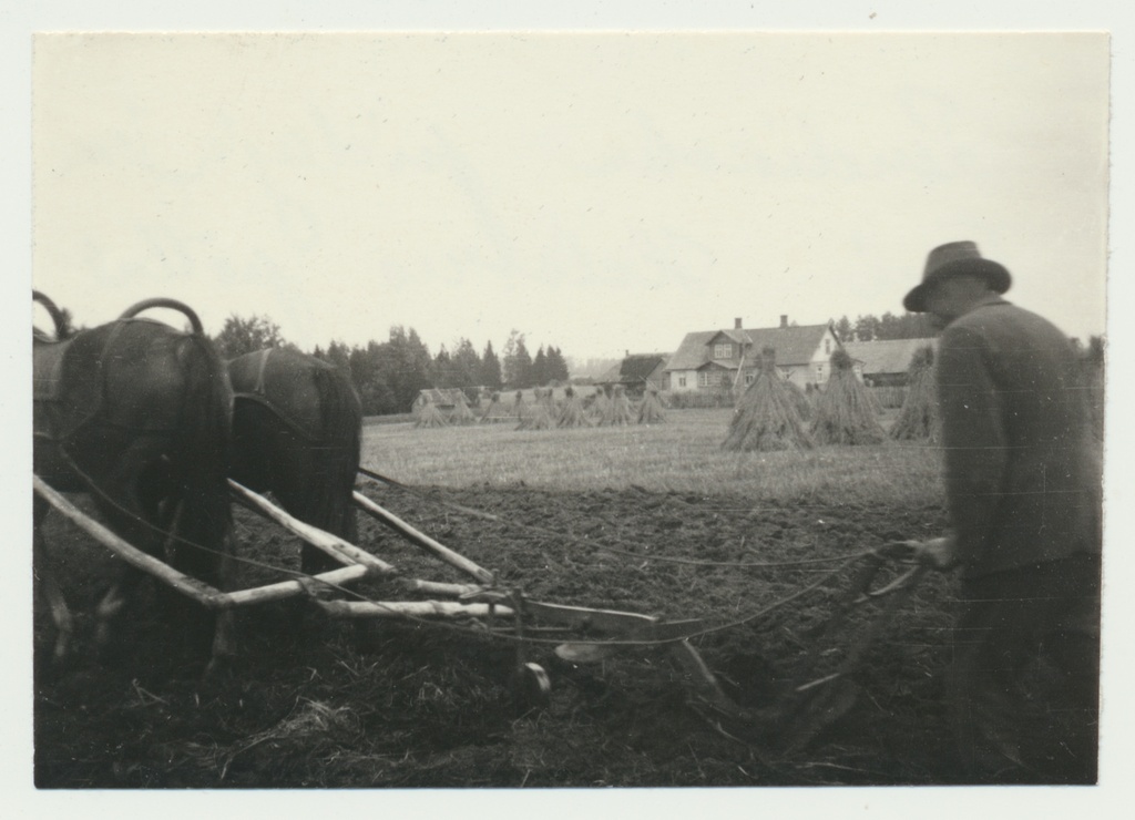 fotokoopia, Viljandimaa, Holstre vald, Aasa talu, taluhooned, künd hobusega, rukkihakid, 1940