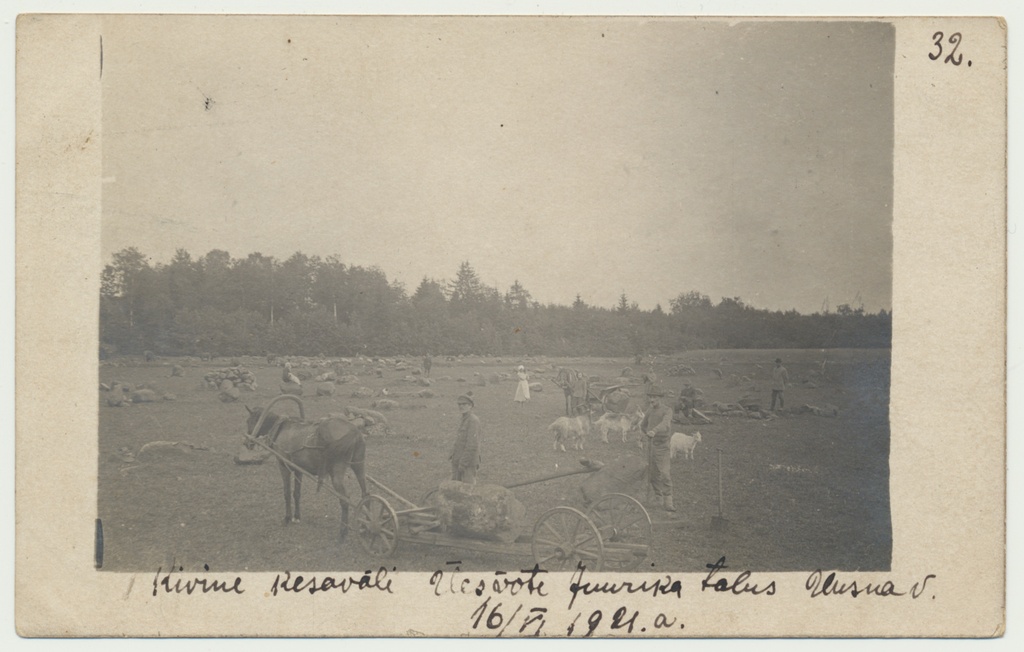 foto, Viljandimaa, Uusna vald, Juurika talu, kivikoristus, 1921