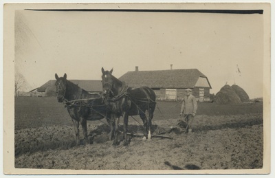 foto, Viljandimaa, Kärstna vald, Veski talu, kahe hobusega künd, u 1932  duplicate photo