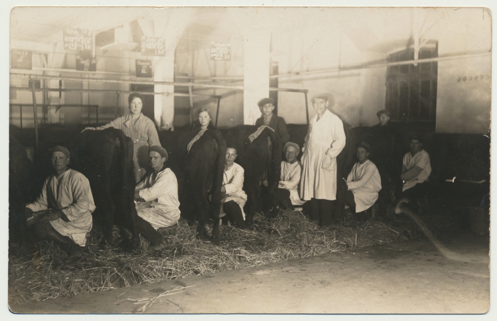 foto, Viljandimaa, Uusna mõis, lüpsivõistlus, laut, u 1932