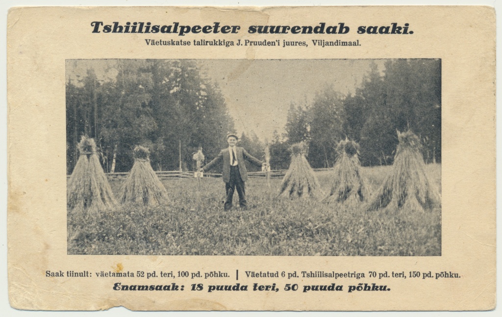 trükipostkaart, Viljandimaa, J.Pruuden ja talirukki põld, väetise reklaam, u 1930