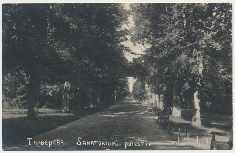 foto, Viljandi kultuurimaja, nukunäitus, 1981, foto E. Veliste