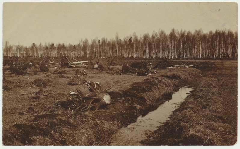 foto Viljandimaa, Kolga-Jaani khk kuivenduskraavi rajamine u 1914 foto A.Loit