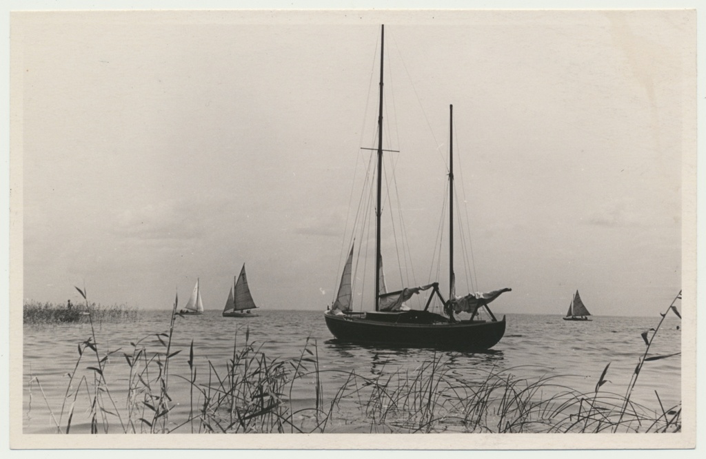 foto, Viljandi, Valma, Võrtsjärve regatt, 1959