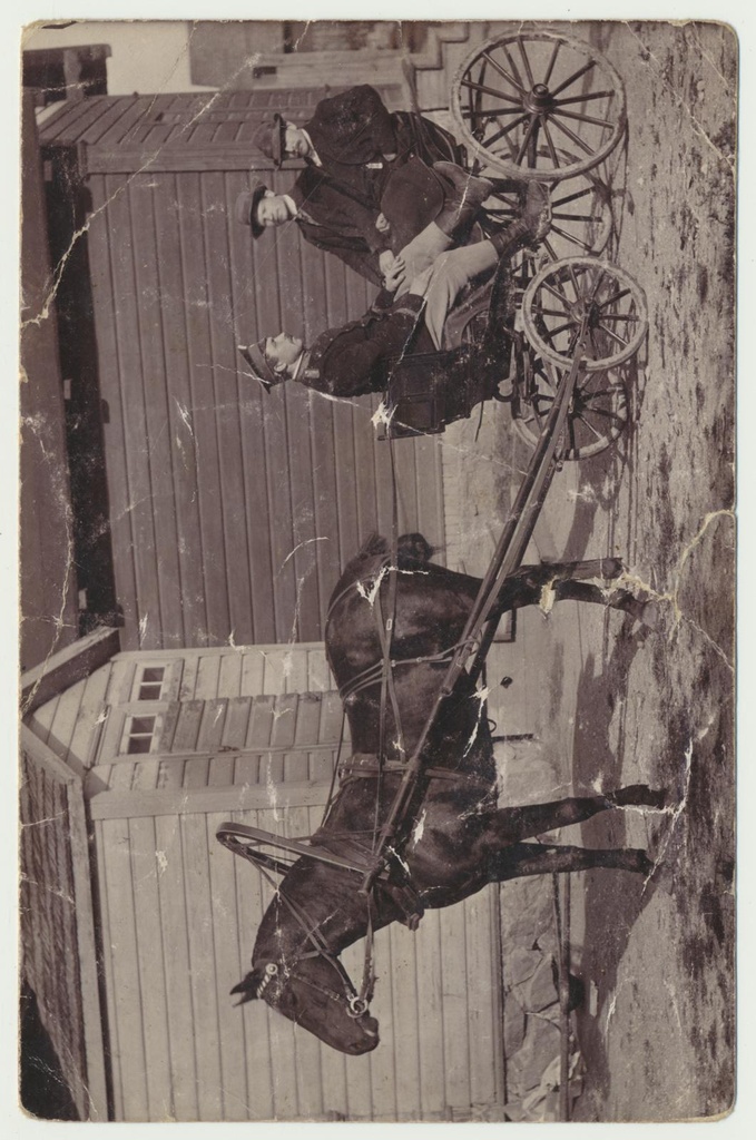foto, Viljandimaa, Võhma, hobuvanker, 3 meest, u 1910