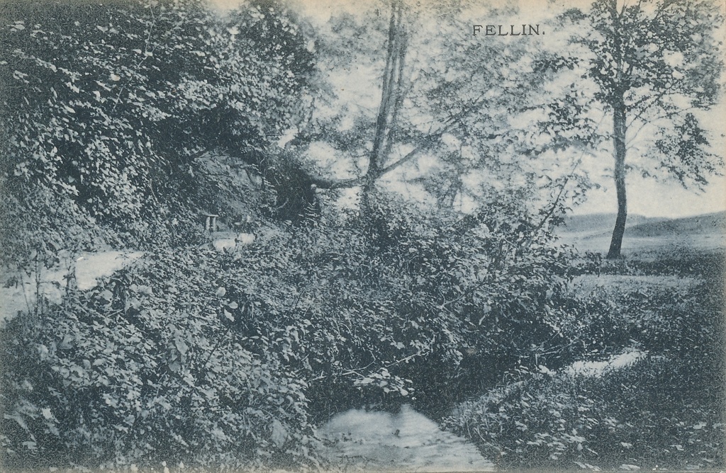 trükipostkaart  Viljandi Valuoja org, oja enne suubumist Viljandi järve u 1910