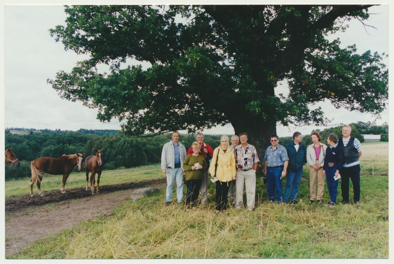 värvifoto, Viljandi khk, Viiralti tamm, hobused, grupp, Lions Club Malung, Viiratsi vald, vas 1.Peeter Arro, vallavanem, VIII 1998 foto P. Arro