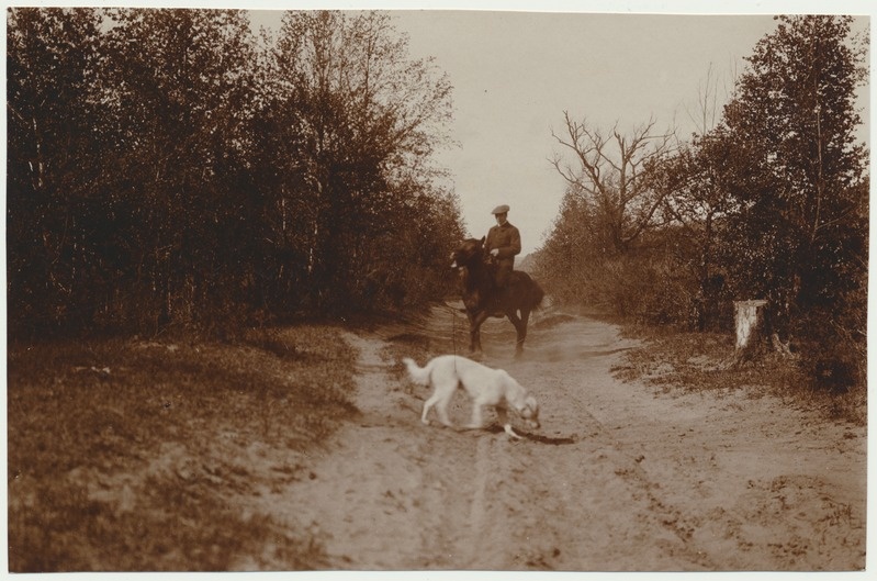 foto, Jaan Kukk hobusel, koer, metsateel, Venemaa, Zeja linn, u 1911, foto A. Kukk