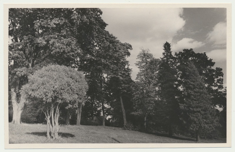 foto, Viljandimaa, Puiatu mõisa park, 1958