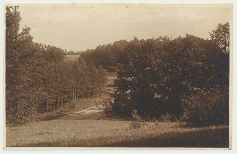foto, Viljandimaa, Loodi maastik, u 1935, foto T. Parri