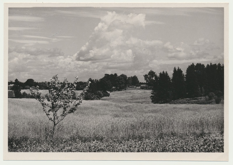 foto, Viljandimaa, Holstre maastik, 1958, foto A. Kiisla