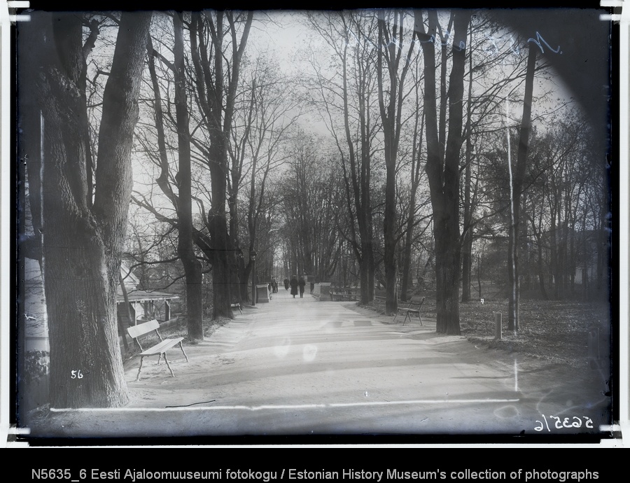 Allee Toomemäel ja Inglisild