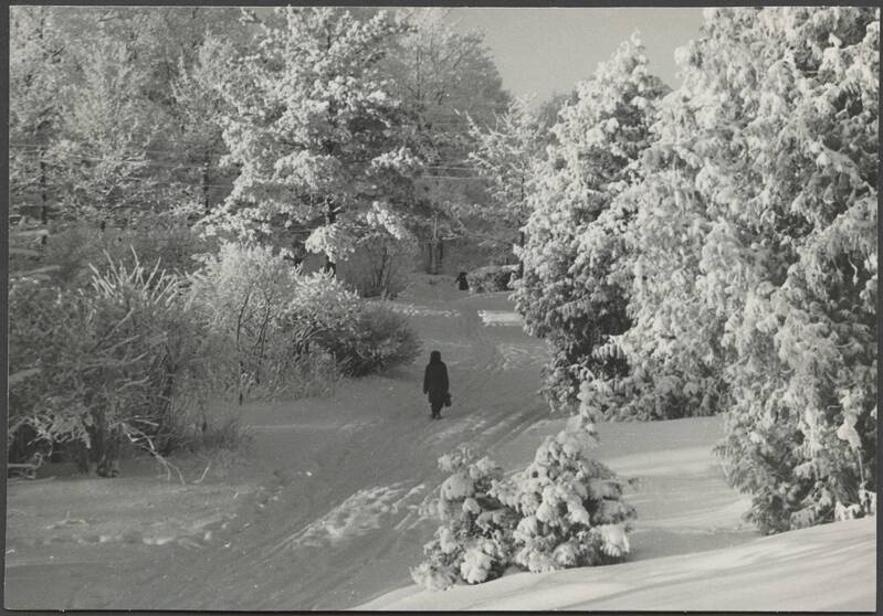 foto, Viljandi, Valuoja org u 1965 talv