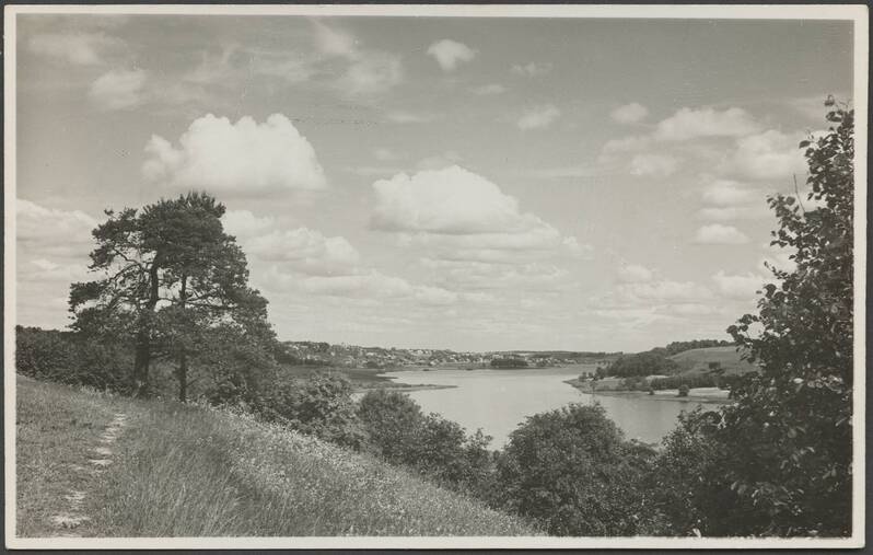 fotopostkaart, Viljandi, Männimäe, järv, linn, u 1935, foto T. Parri