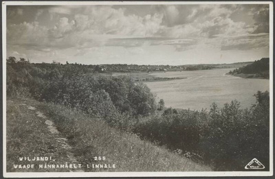 fotopostkaart, Viljandi, järv, linn, Männimäe poolt, u 1920, foto J. Riet  duplicate photo