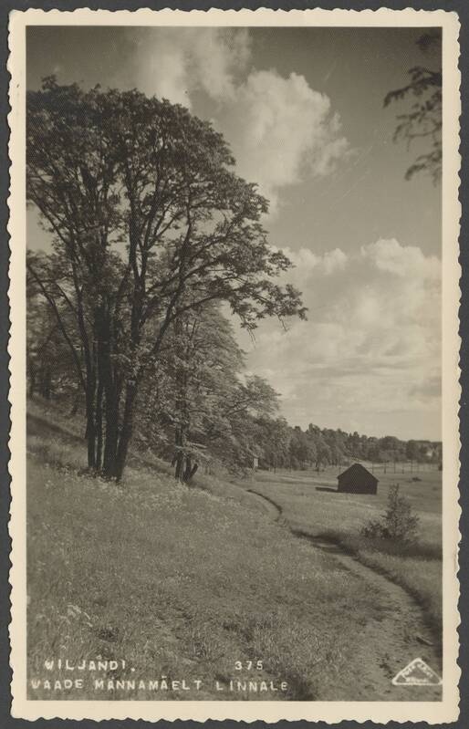 fotopostkaart, Viljandi, Männimäe nõlv, heinamaa, u 1925, foto J. Riet