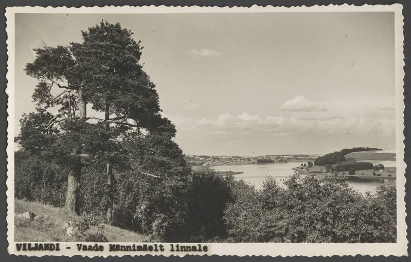 fotopostkaart, Viljandi, linn, järv, Männimäe poolt, u 1925