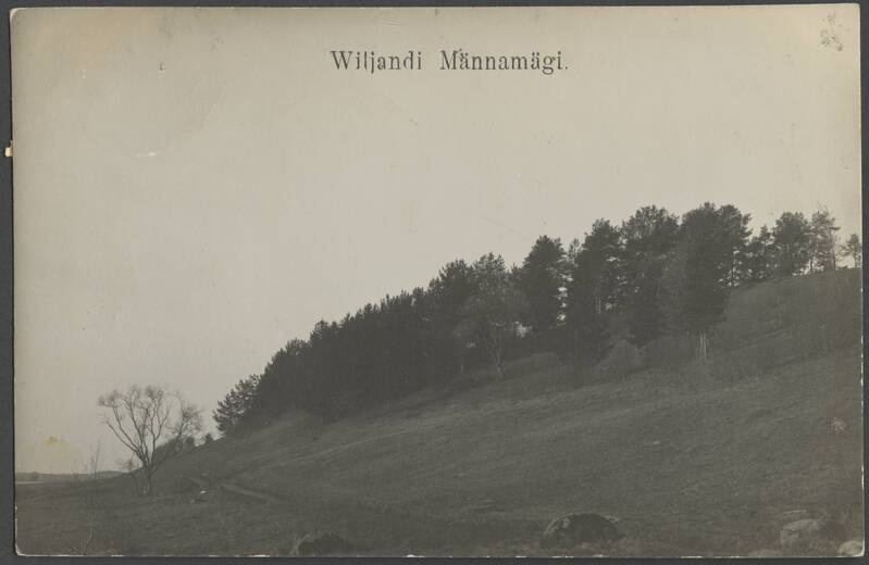 fotopostkaart, Viljandi, Männimäe nõlv, u 1910