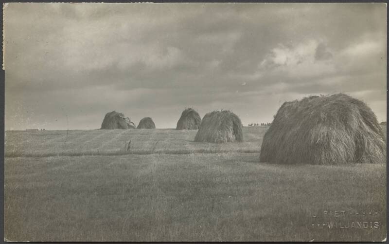 fotopostkaart, Viljandi, Tallinna tn ja Leola tn vaheline? heinamaa, u 1910, foto J. Riet