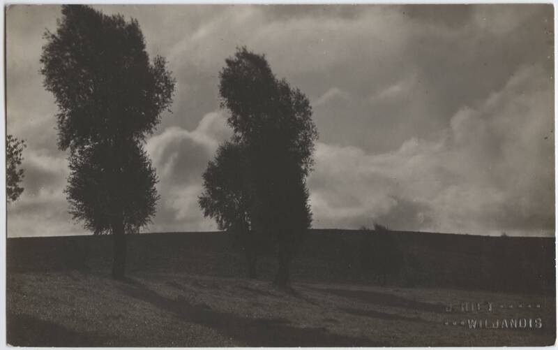 fotopostkaart, Viljandi, Uueveski org (Kaevu tn 16 maja lähistel?), u 1910, foto J. Riet