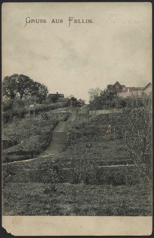 trükipostkaart, Viljandi, Trepimägi, u 1905